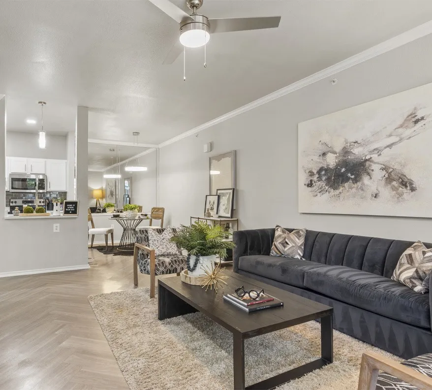 Light-Filled Living Areas