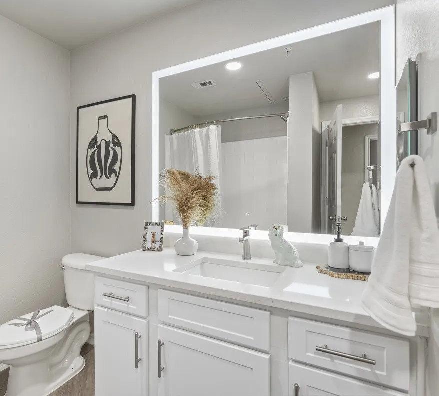 Luxury Bathrooms