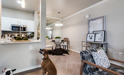 Dane Park Apartments