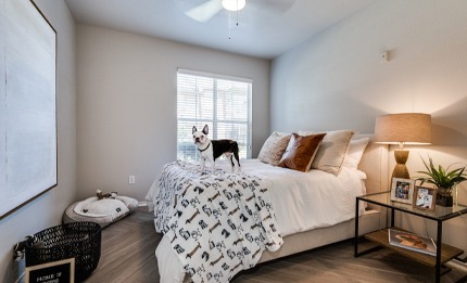 Dane Park Apartments