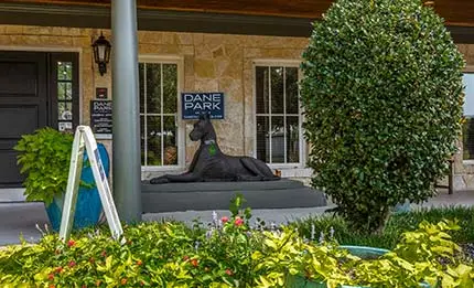 DanePark Gallery20