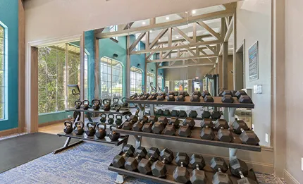 Dane Park Gym