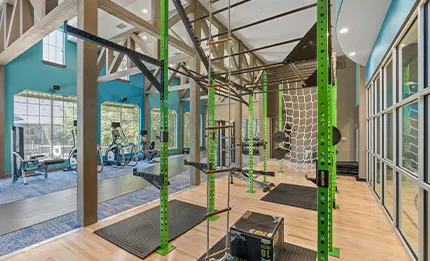 Dane Park Gym