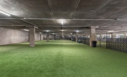 Dog Park